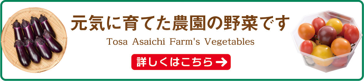 元気に育てた農園の野菜です