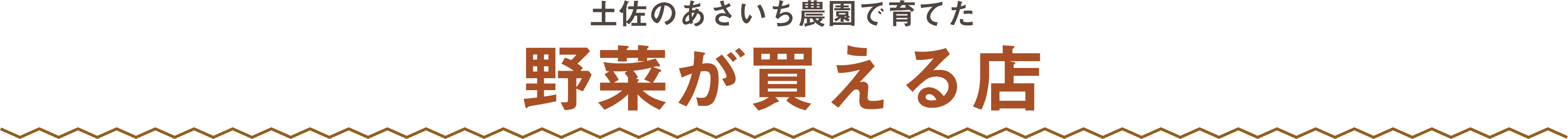 土佐のあさいち便で育てた野菜が買える店