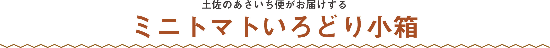 土佐のあさいち便がお届けするミニトマトいろどり小箱