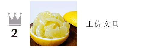 土佐文旦