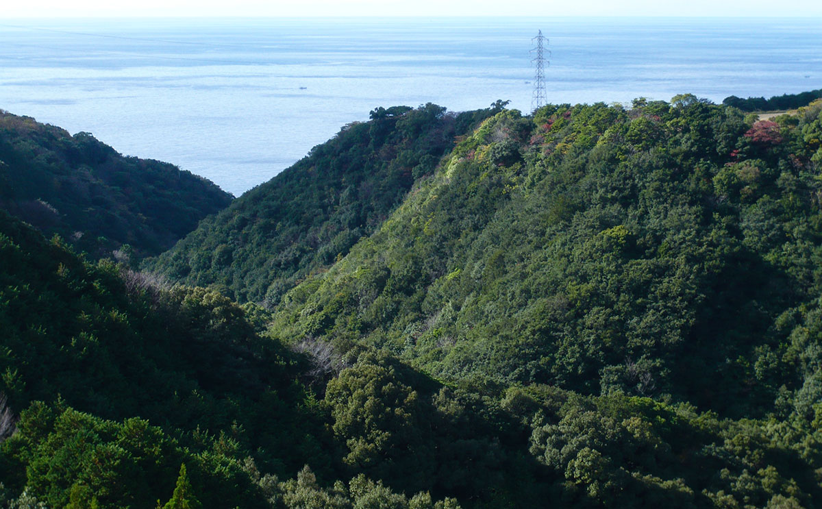 土佐の風景