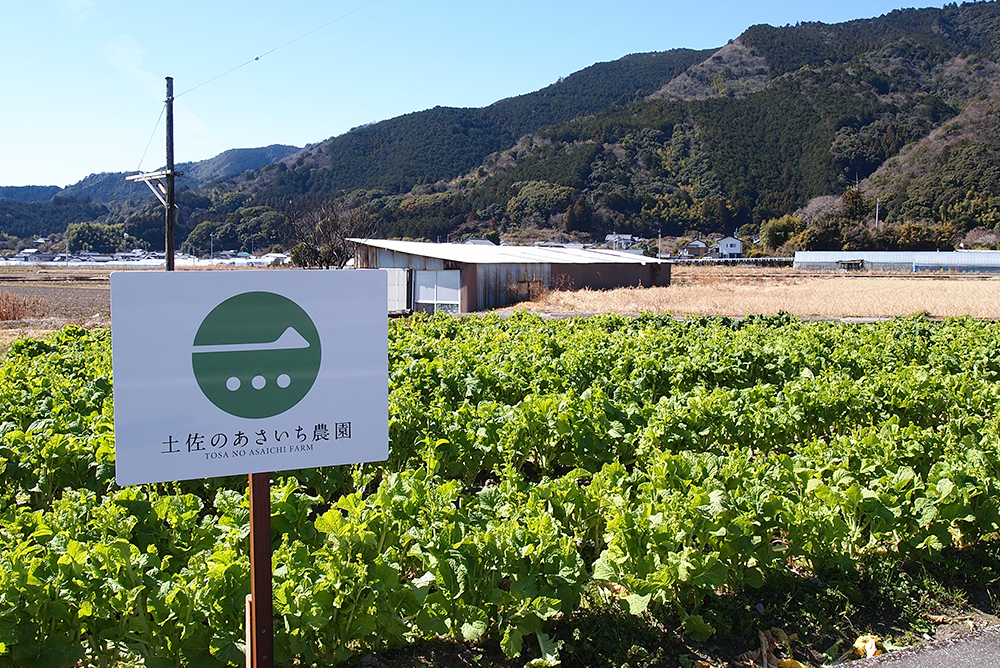 “地産地消”から“地産外消”へ