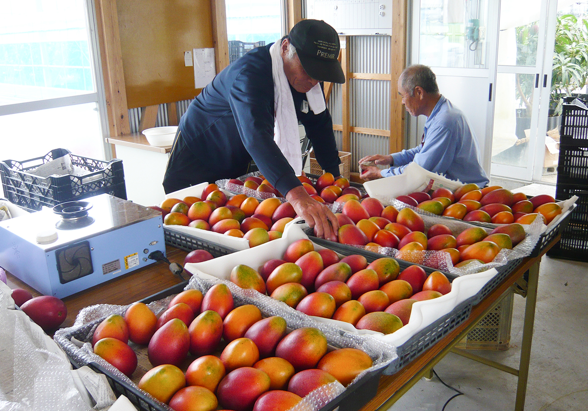 生産者の方々